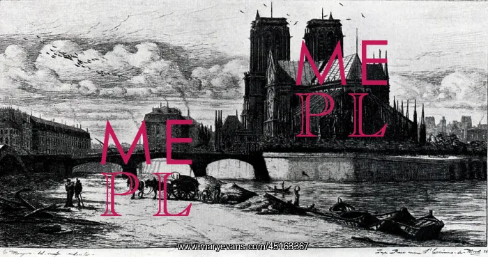 : LAbside d Notre Dame : LAbside d Notre Dame