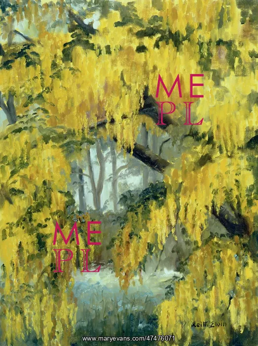  : Through the Laburnum