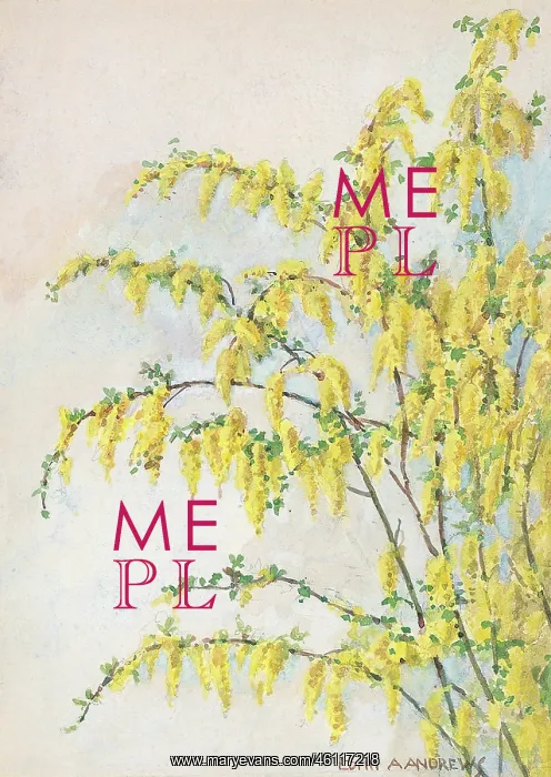  : Laburnum - Gardens