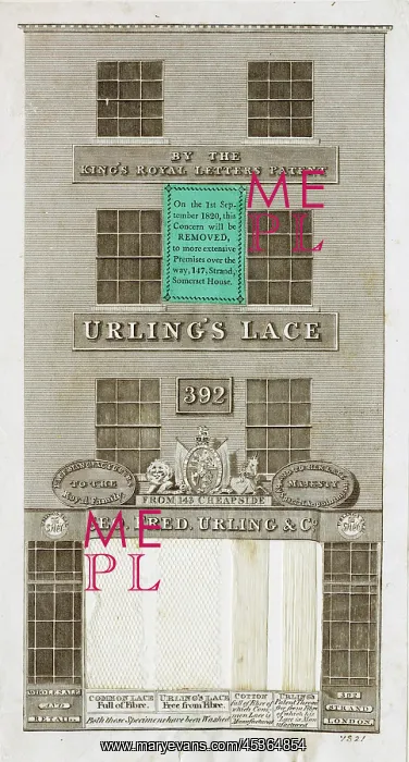 : Lace advertisement : Lace advertisement