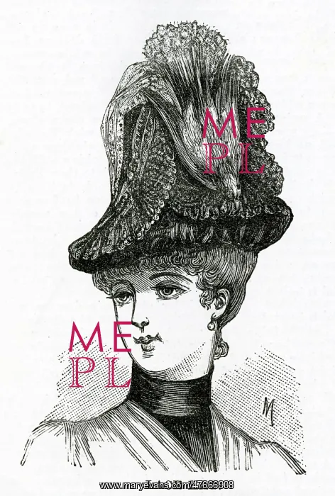 : Lace hat with whole bird 1886 : Lace hat with whole bird 1886