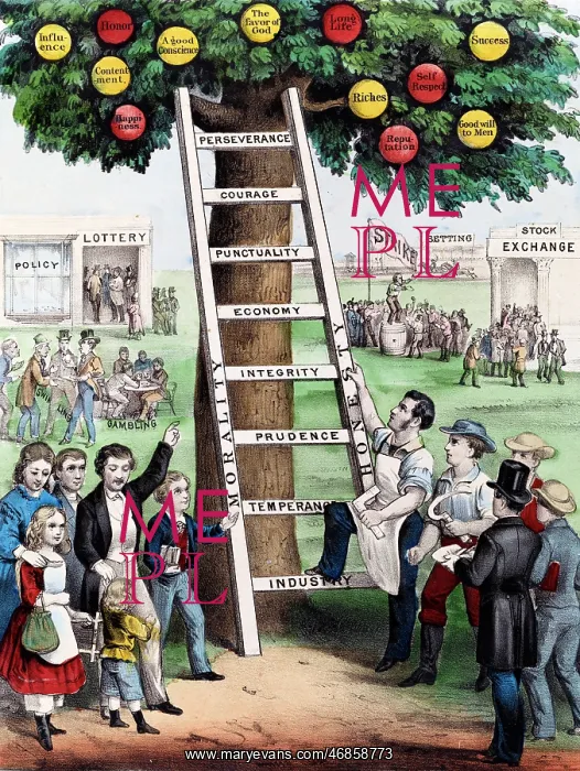 : The Ladder of Fortune : The Ladder of Fortune