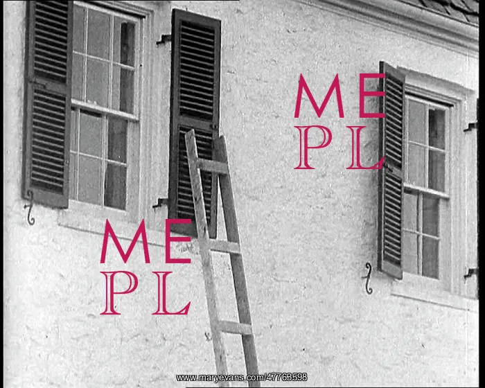 : A Ladder Leant Against A Window of the American : A Ladder Leant Against A Window of the American