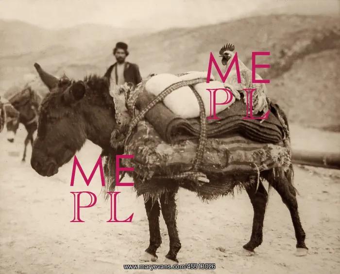 : Laden Donkey owned by a Bakhtiari Tribesman : Laden Donkey owned by a Bakhtiari Tribesman