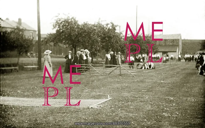 : Ladies Assault Course : Ladies Assault Course
