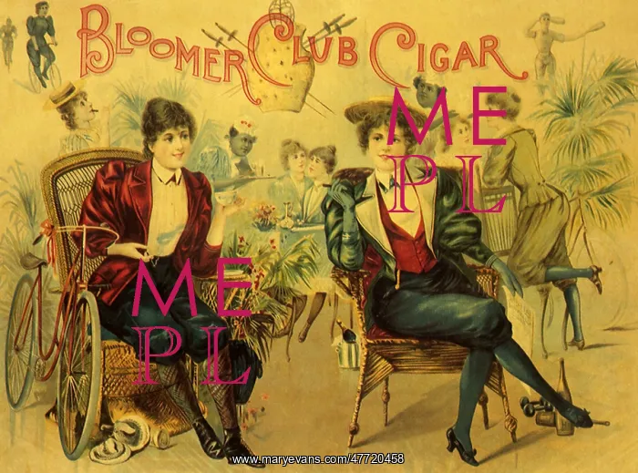: Ladies in Bloomers : Ladies in Bloomers