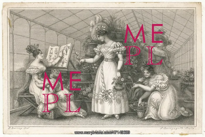 : Ladies in a conservatory : Ladies in a conservatory