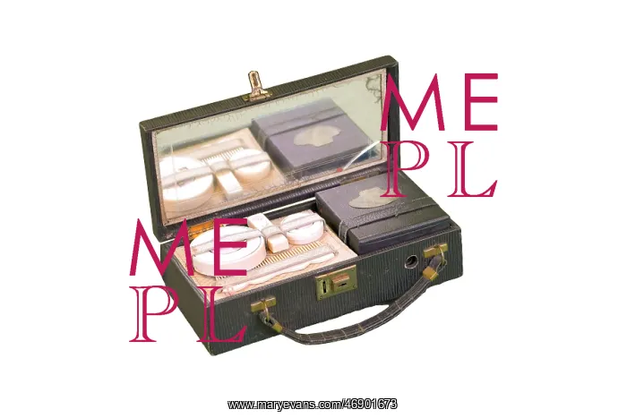  : Ladies Detective Bag