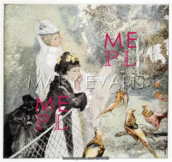 : LADIES GAZE AT BIRDS : LADIES GAZE AT BIRDS