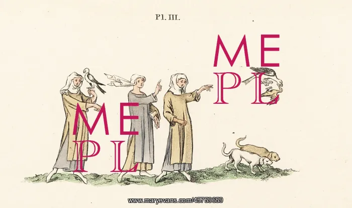 : Ladies hawking, 14th century : Ladies hawking, 14th century