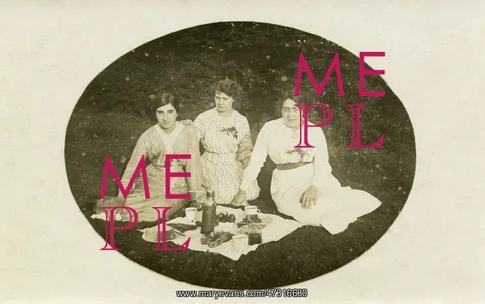  : THREE LADIES PICNIC