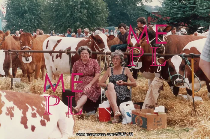 : Two ladies picnic at an Agricultural Show : Two ladies picnic at an Agricultural Show
