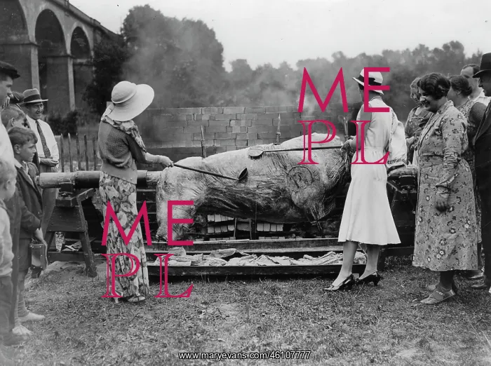 : Ladies roast an ox. Viaduct Field : Ladies roast an ox. Viaduct Field