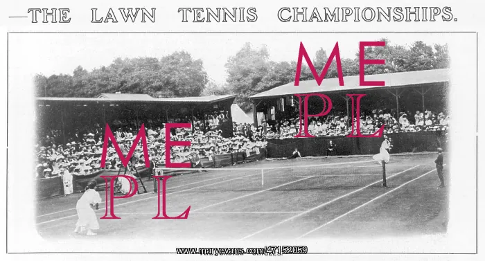 : Ladies Singles - Wimbledon : Ladies Singles - Wimbledon