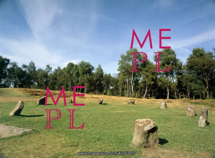 : Nine Ladies Stone Circle : Nine Ladies Stone Circle