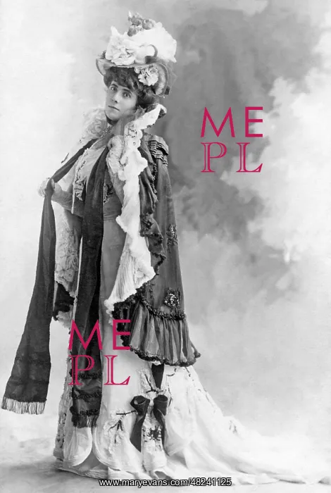 : Ladieswear, 1895 : Ladieswear, 1895