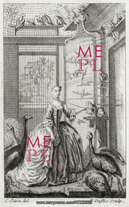  : LADY IN AVIARY