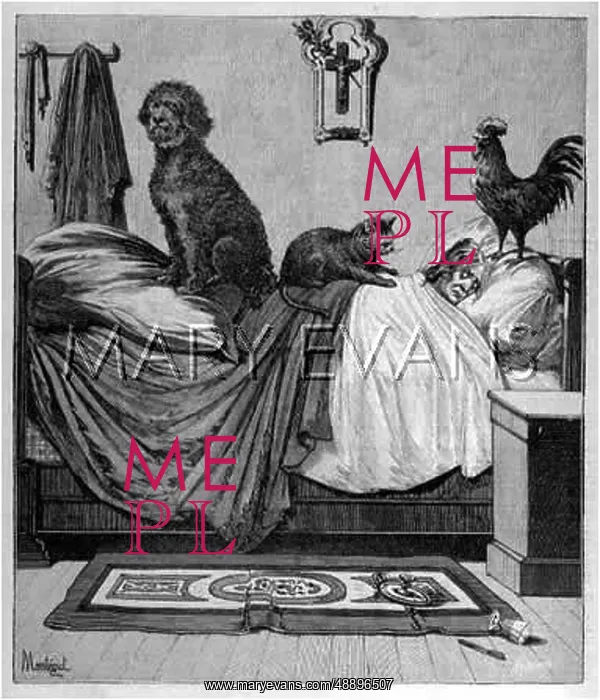: LADY IN BED WITH BEASTS : LADY IN BED WITH BEASTS