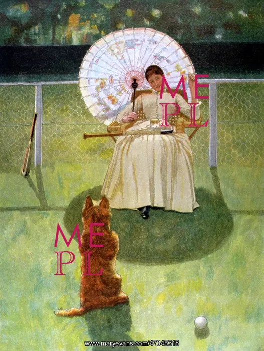 : LADY AND BEGGING DOG : LADY AND BEGGING DOG