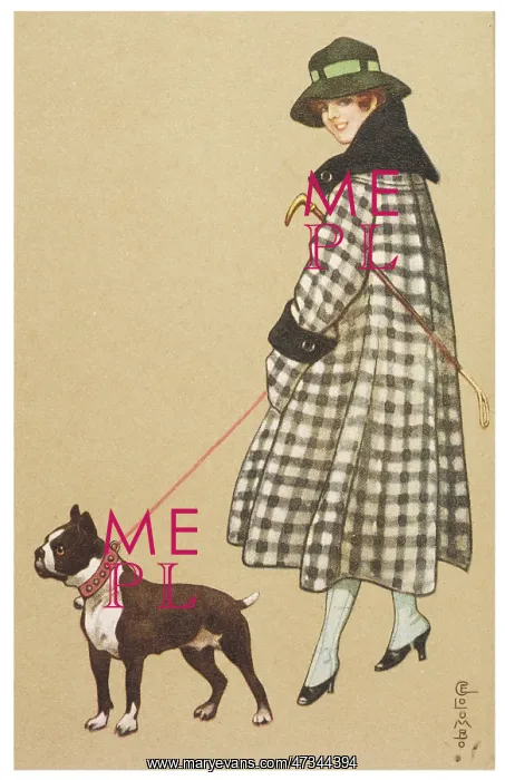  : LADY & BOSTON TERRIER