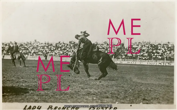  : Lady Broncho busted