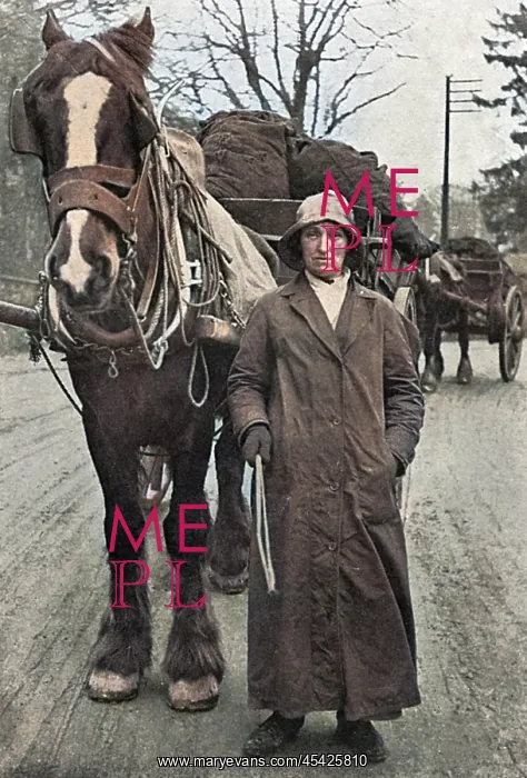 : Lady with carthorse and coal, WW1 : Lady with carthorse and coal, WW1