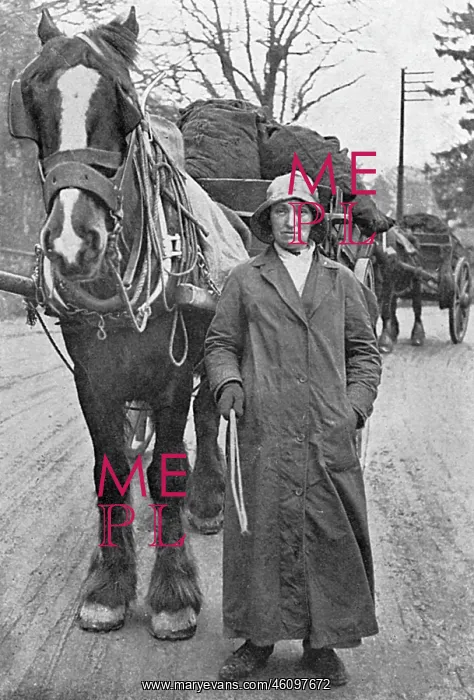: Lady with carthorse and coal, WW1 : Lady with carthorse and coal, WW1