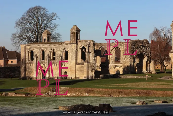: Lady Chapel, Glastonbury Abbey, Glastonbury, Somerset : Lady Chapel, Glastonbury Abbey, Glastonbury, Somerset