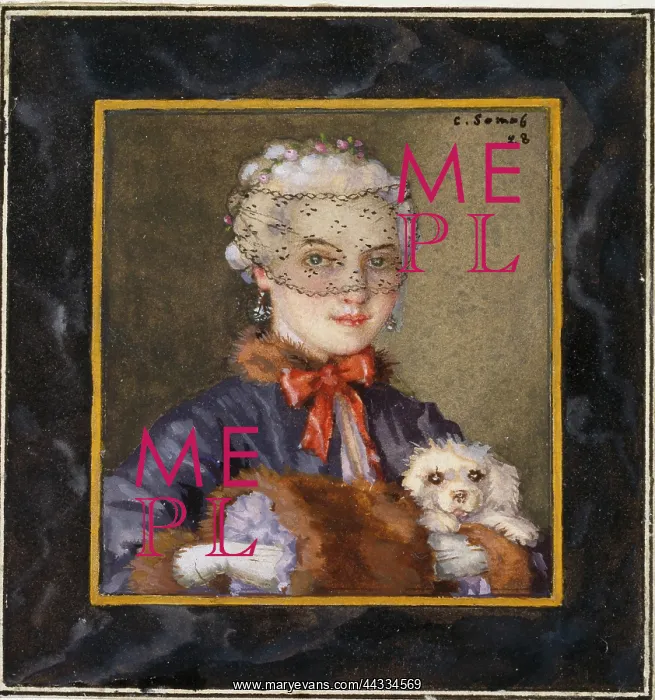 : Lady with a Dog : Lady with a Dog