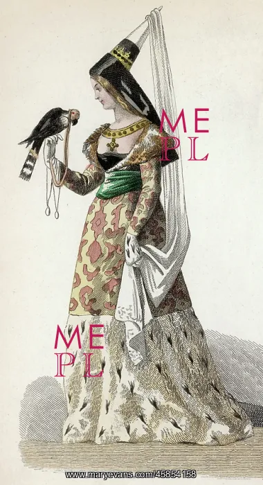  : LADY WITH FALCON
