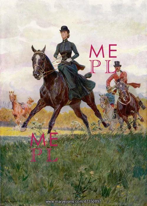 : LADY GALLOPER : LADY GALLOPER