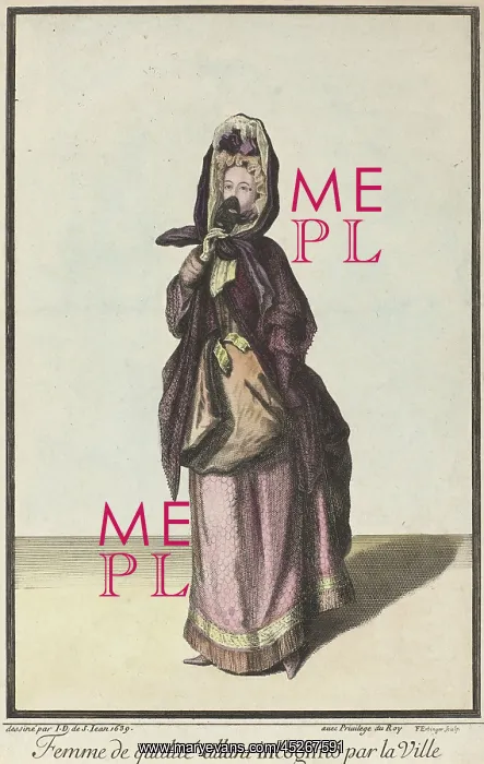 : Lady Going About Town Incognito : Lady Going About Town Incognito
