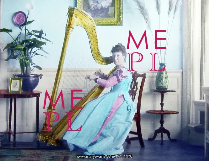  : Lady harpist