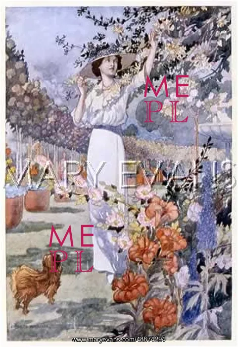 : LADY WITH HONEYSUCKLE : LADY WITH HONEYSUCKLE
