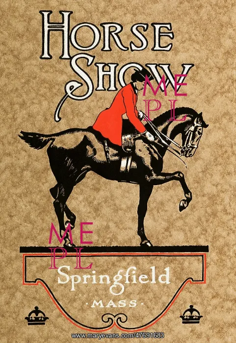  : Lady on Show Horse