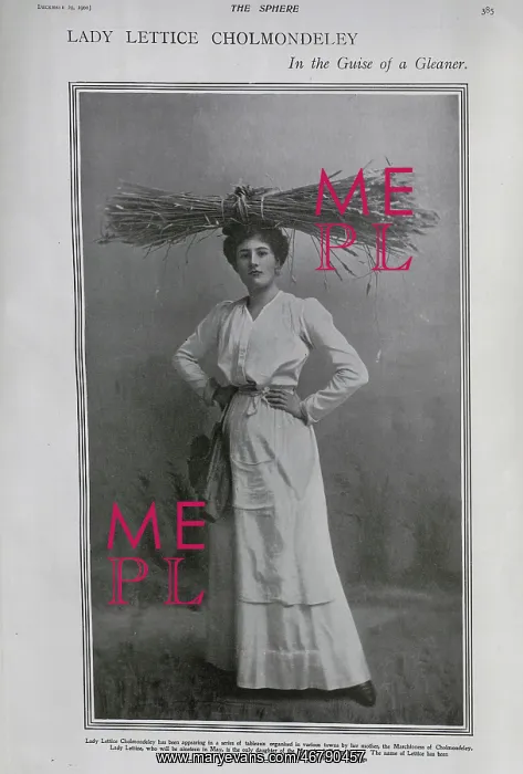  : Lady Lettice Cholmondeley