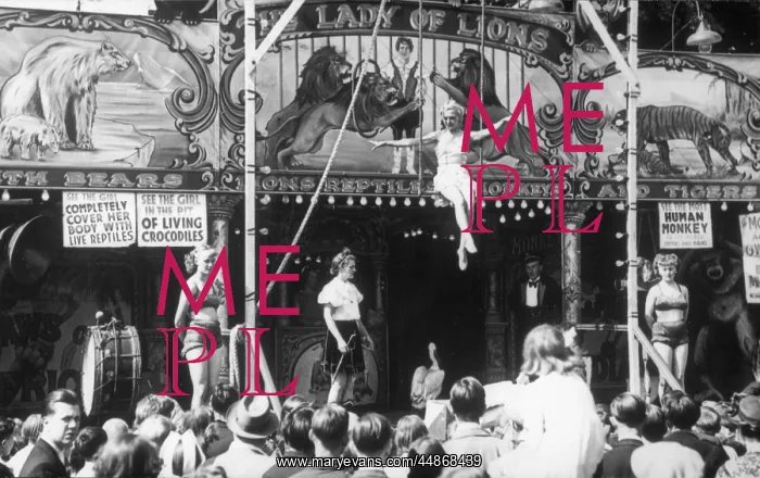  : LADY OF THE LIONS / FAIR