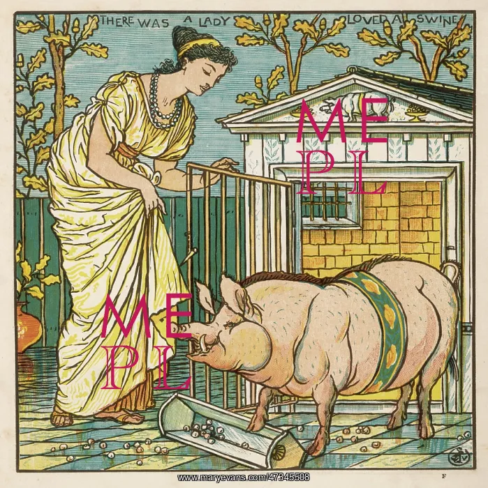 : Lady That Loved a Swine : Lady That Loved a Swine