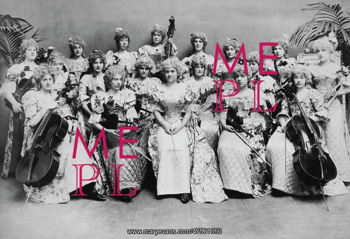  : Lady Pompadour Band
