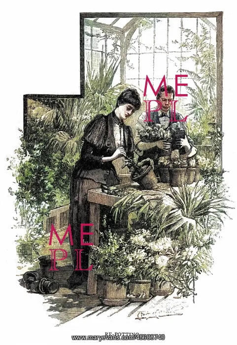  : Lady repotting a plant