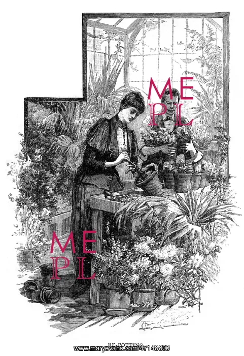  : Lady repotting a plant