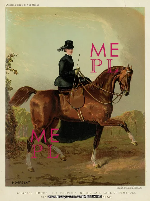 : Lady Riding Sidesaddle : Lady Riding Sidesaddle