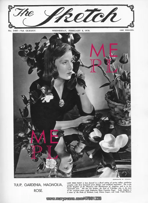 : Lady Rose Paget : Lady Rose Paget