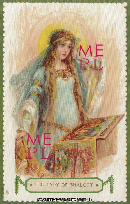 : The Lady of Shalott : The Lady of Shalott