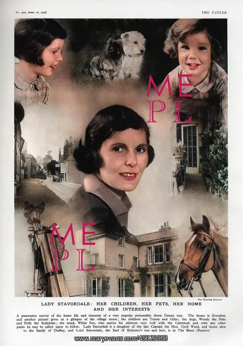 : Lady Stavordale and her interests : Lady Stavordale and her interests