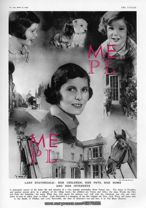 : Lady Stavordale and her interests : Lady Stavordale and her interests