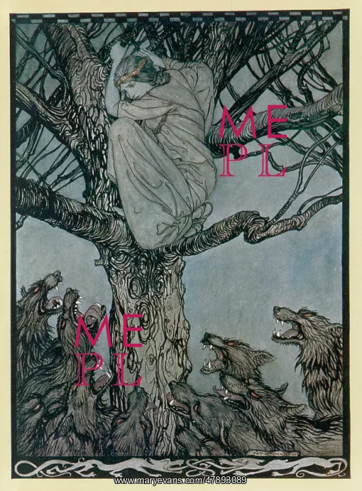 : Lady takes to the trees to avoid being eaten by wolves : Lady takes to the trees to avoid being eaten by wolves