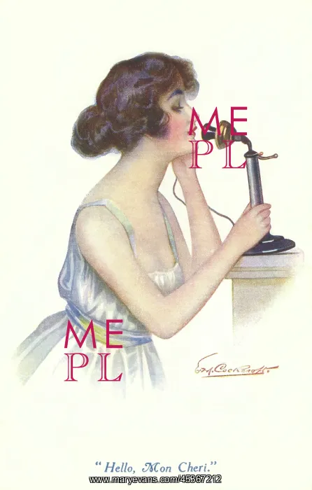 : Lady on the telephone : Lady on the telephone