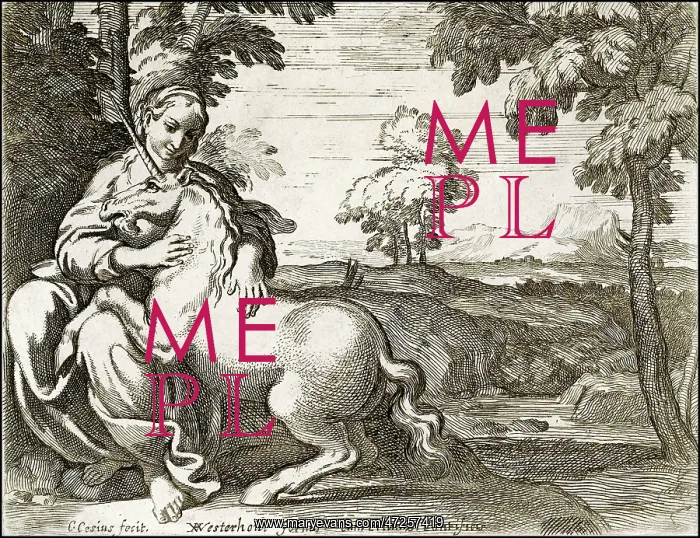  : Lady and Unicorn