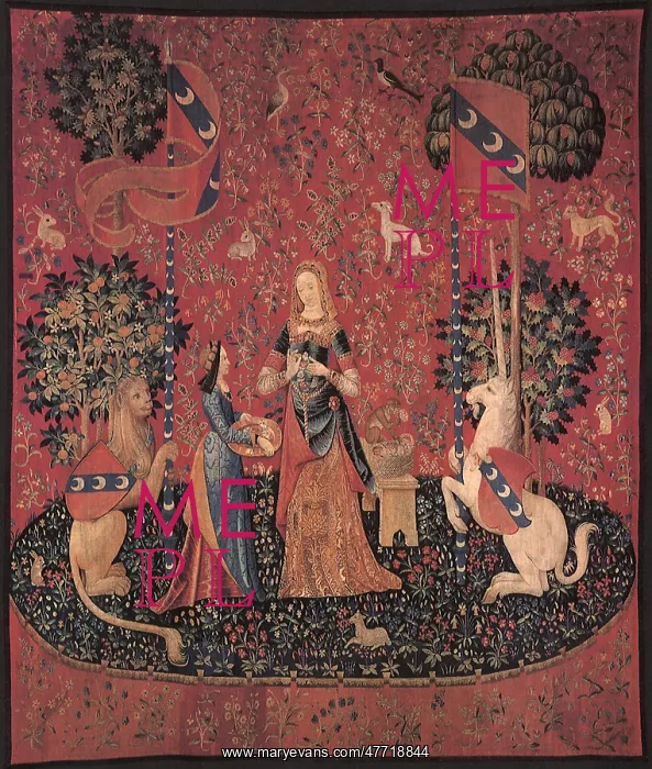 : The Lady and the Unicorn : The Lady and the Unicorn